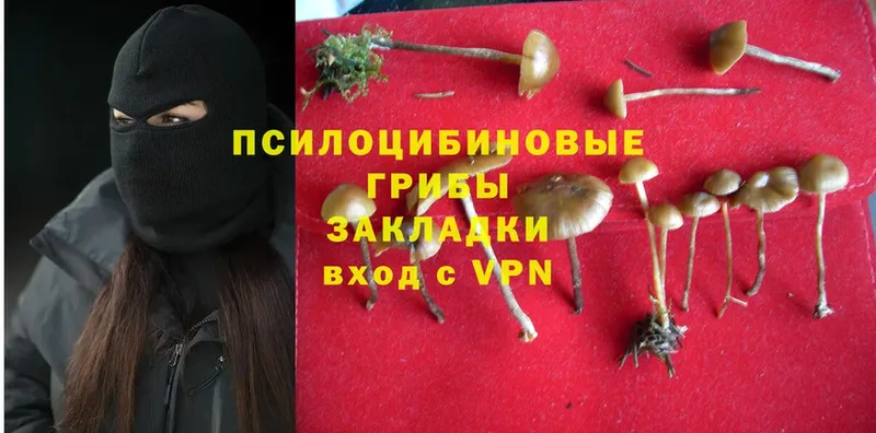 Псилоцибиновые грибы GOLDEN TEACHER  купить закладку  Рославль 